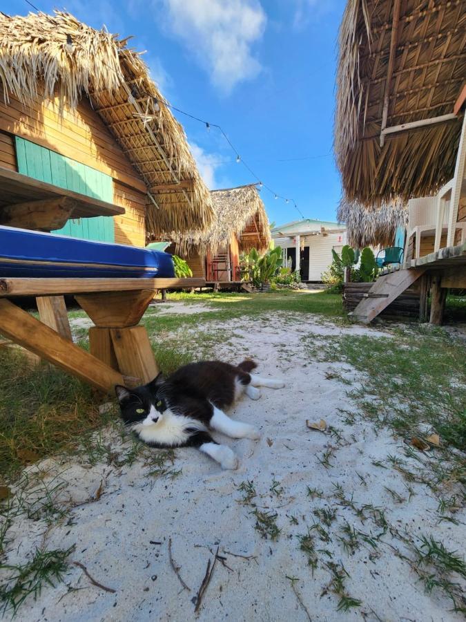 Saona Lodge Mano Juan ภายนอก รูปภาพ