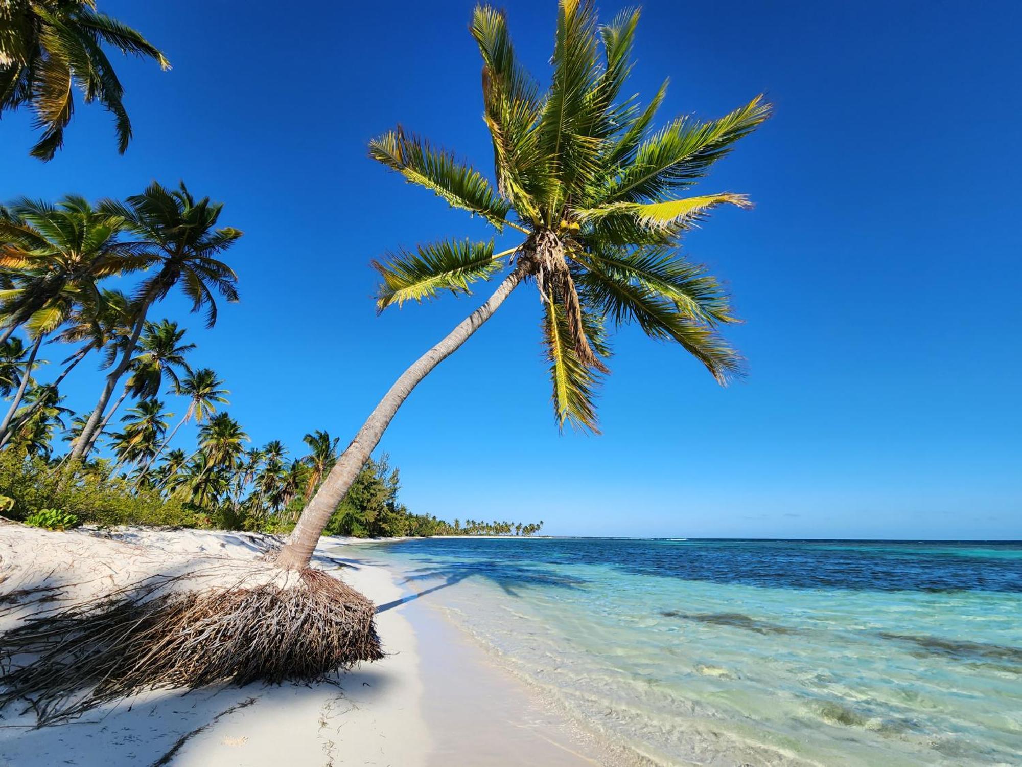 Saona Lodge Mano Juan ภายนอก รูปภาพ